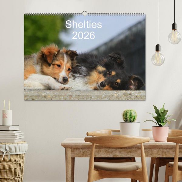 Produktbild: Shelties 2026 (Wandkalender 2026 DIN A2 quer), CALVENDO Monatskalender