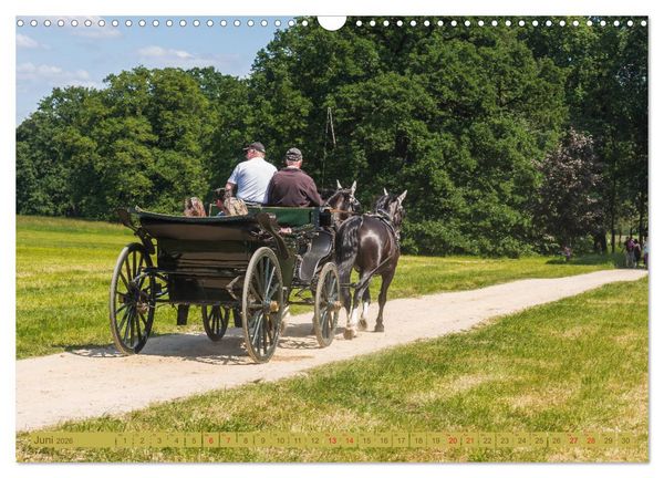 Produktbild: Parkgemeinde Kromlau (Wandkalender 2026 DIN A3 quer), CALVENDO Monatskalender