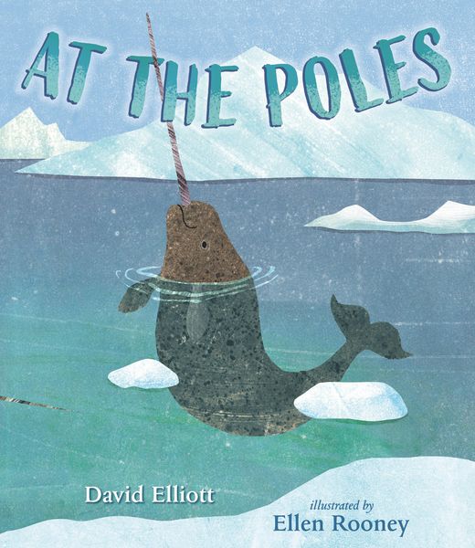 Produktbild: At the Poles