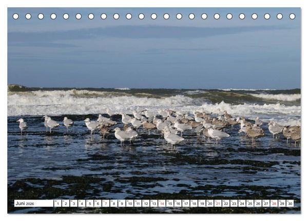 Produktbild: Callantsoog (Tischkalender 2026 DIN A5 quer), CALVENDO Monatskalender