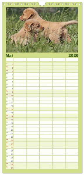 Produktbild: Familienplaner 2026 - Nova Scotia Duck Tolling Retriever mit 5 Spalten (Wandkalender, 21 x 45 cm) CALVENDO