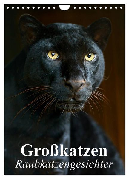 Produktbild: Gro&szlig;katzen. Raubkatzengesichter (Wandkalender 2026 DIN A4 hoch), CALVENDO Monatskalender