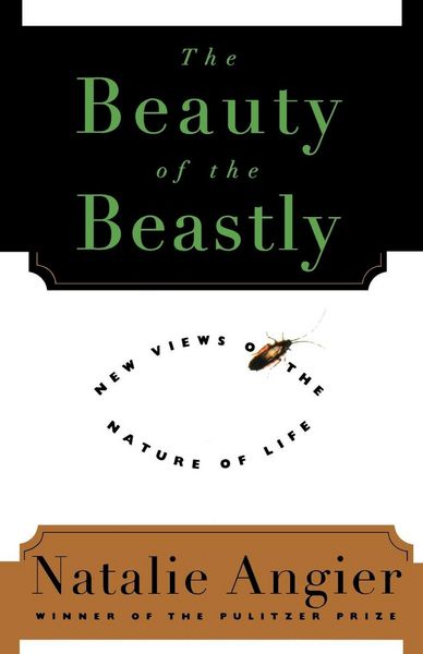 Produktbild: The Beauty of the Beastly