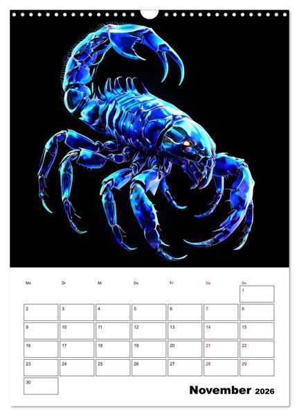 Produktbild: Die Konstellationen der Sterne (Wandkalender 2026 DIN A3 hoch), CALVENDO Monatskalender
