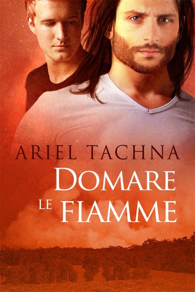 Produktbild: Domare le fiamme