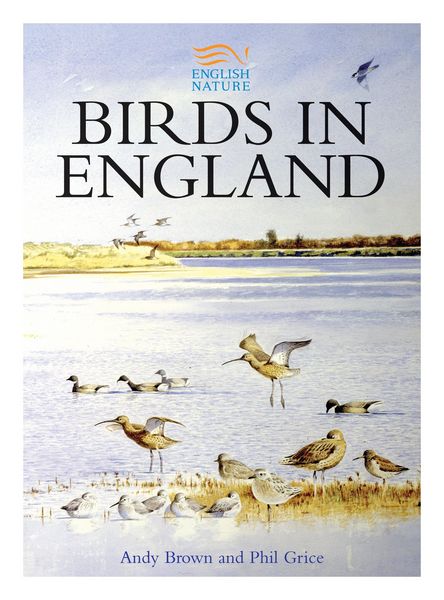 Produktbild: Birds in England