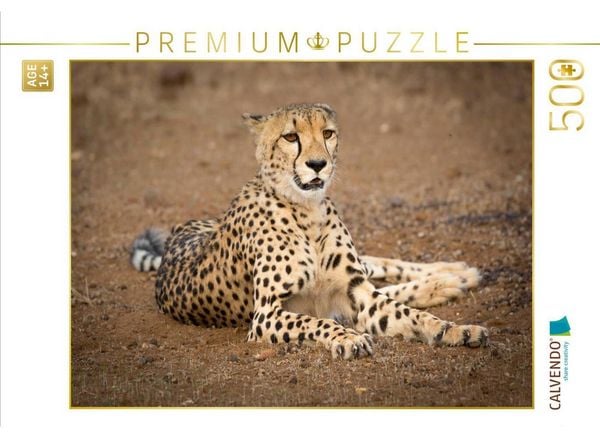 CALVENDO Puzzle Gepard, Botswana 2017 | 500 Teile Lege-Größe 48 × 36 cm Foto-Puzzle für Erwachsene