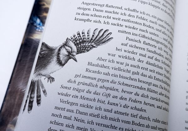 Produktbild: Windwalkers (1). Verborgene Fl&uuml;gel