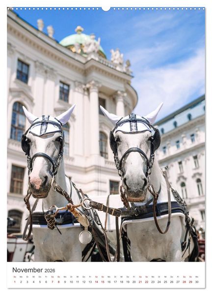 Produktbild: Ach du sch&ouml;nes Wien (Wandkalender 2026 DIN A2 hoch), CALVENDO Monatskalender