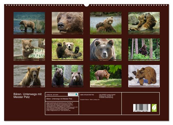 Produktbild: B&auml;ren. Unterwegs mit Meister Petz (hochwertiger Premium Wandkalender 2026 DIN A2 quer), Kunstdruck in Hochglanz