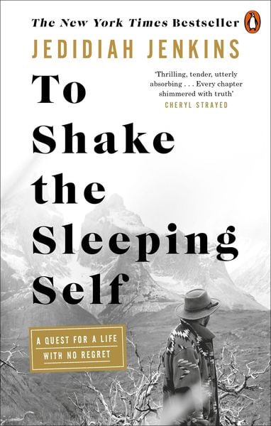 Cover of the book To Shake the Sleeping Self