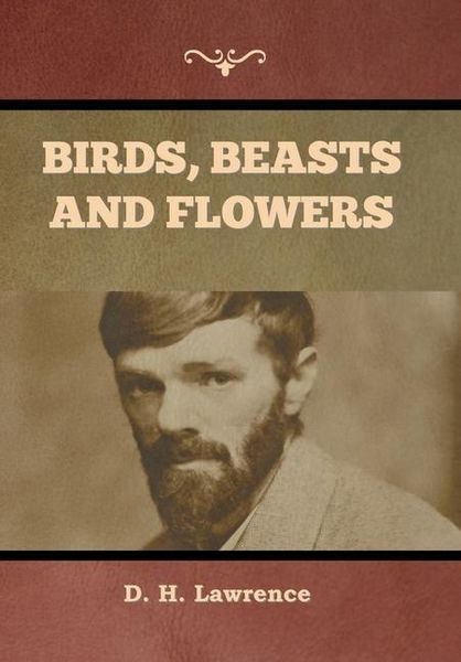 Produktbild: Birds, Beasts and Flowers