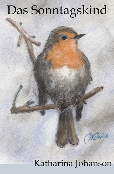 Das Sonntagskind, Taschenbuch von Katharina Johanson, Tredition, 9783384595805