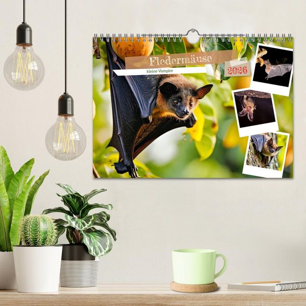 Produktbild: Flederm&auml;use - kleine Vampire (Wandkalender 2026 DIN A4 quer), CALVENDO Monatskalender