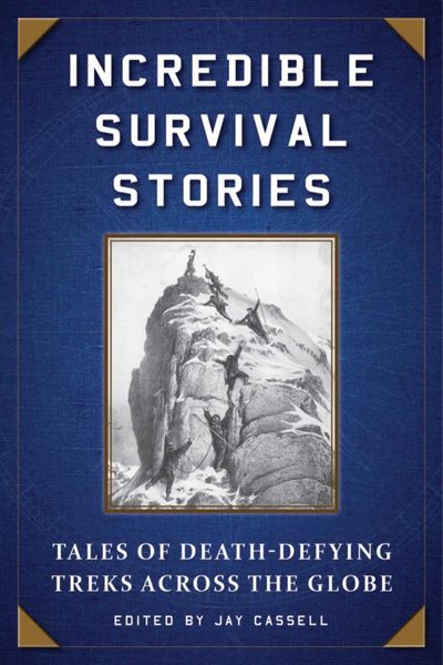 Produktbild: Incredible Survival Stories