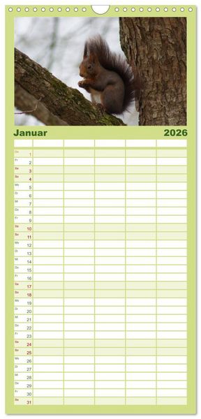 Produktbild: Familienplaner 2026 - Das heimliche Leben der Eichh&ouml;rnchen mit 5 Spalten (Wandkalender, 21 x 45 cm) CALVENDO