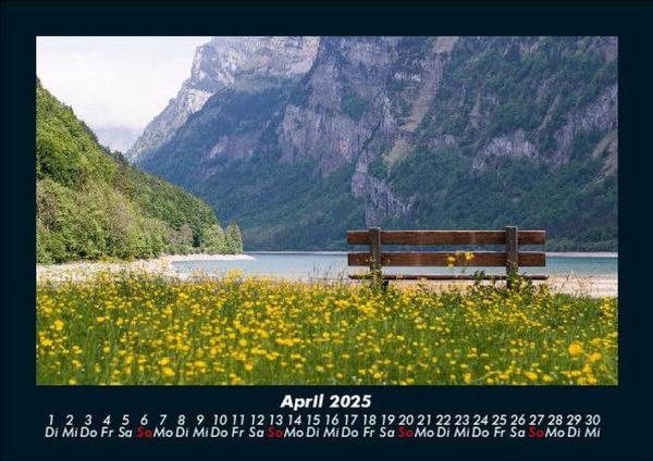 Produktbild: Pflanzen und Bl&uuml;ten 2025 Fotokalender DIN A5