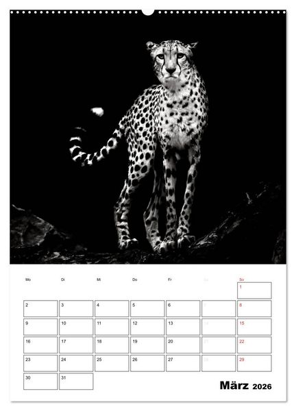 Produktbild: Charakterk&ouml;pfe aus der Welt der Tiere (hochwertiger Premium Wandkalender 2026 DIN A2 hoch), Kunstdruck in Hochglanz