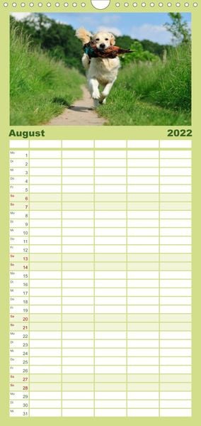 Produktbild: Familienplaner Golden Retriever (Wandkalender 2022 , 21 cm x 45 cm, hoch)