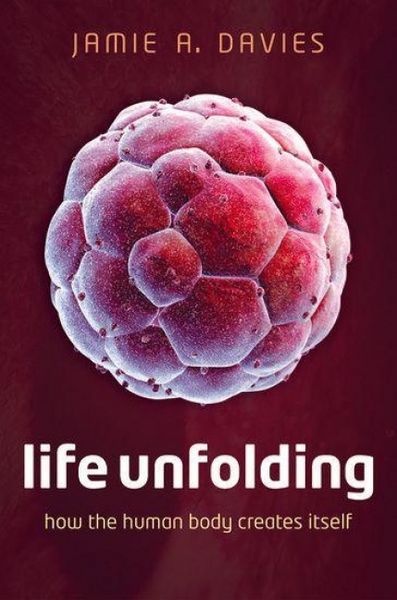 Produktbild: Life Unfolding