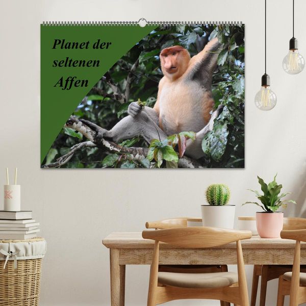 Produktbild: Planet der seltenen Affen (Wandkalender 2026 DIN A2 quer), CALVENDO Monatskalender
