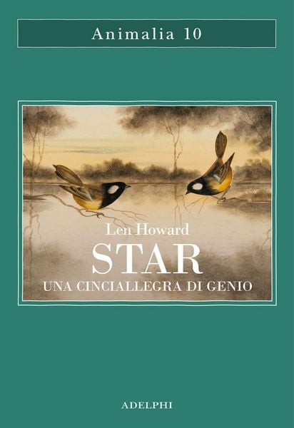 Produktbild: Star. Una cinciallegra di genio