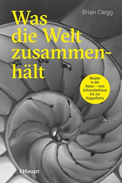 Was die Welt zusammenhält, Taschenbuch von Brian Clegg, Haupt Verlag, 9783258082639