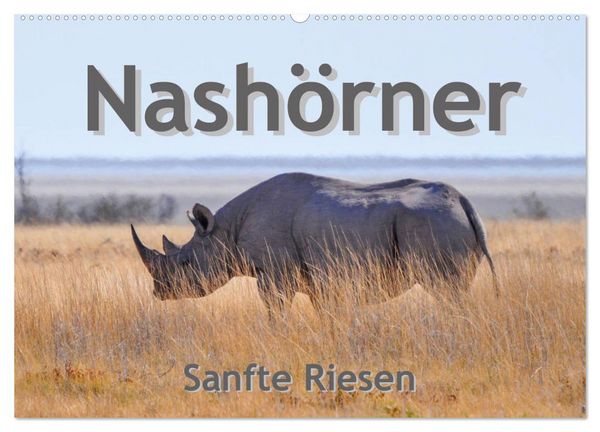 Produktbild: Nash&ouml;rner - Sanfte Riesen (Wandkalender 2026 DIN A2 quer), CALVENDO Monatskalender