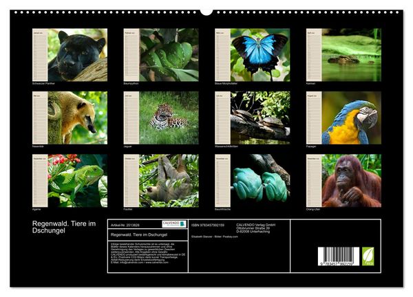 Produktbild: Regenwald. Tiere im Dschungel (hochwertiger Premium Wandkalender 2026 DIN A2 quer), Kunstdruck in Hochglanz