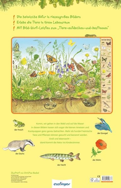 Produktbild: Riesen-Wimmelbuch: Das Riesen-Natur-Wimmelbuch