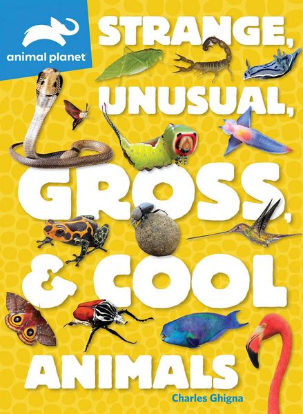 Produktbild: Animal Planet: Strange, Unusual, Gross, & Cool Animals