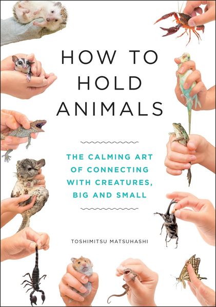 Produktbild: How to Hold Animals