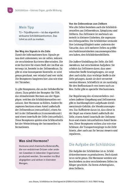 Produktbild: Schilddr&uuml;se im Gleichgewicht