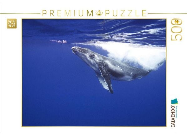 CALVENDO Puzzle Mach doch nicht so eine Welle | 500 Teile Lege-Größe 48 × 36 cm Foto-Puzzle für Erwachsene