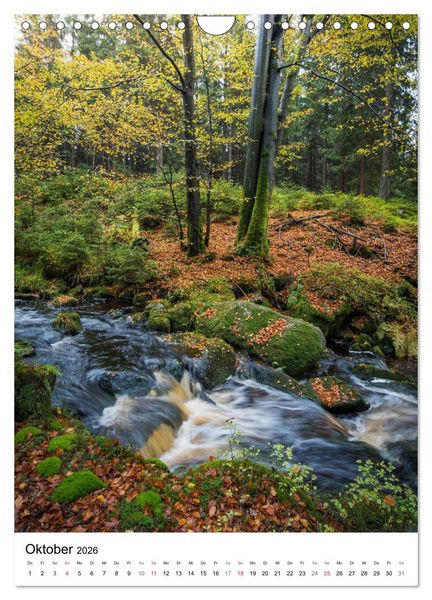 Produktbild: Der Harz - Malerische Orte (Wandkalender 2026 DIN A4 hoch), CALVENDO Monatskalender