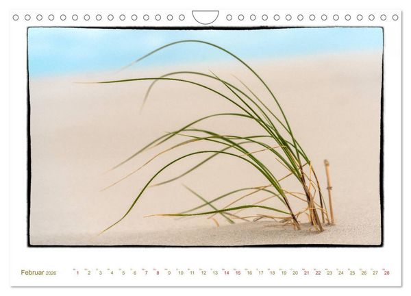 Produktbild: Amrum, inspirierende Landschaft (Wandkalender 2026 DIN A4 quer), CALVENDO Monatskalender