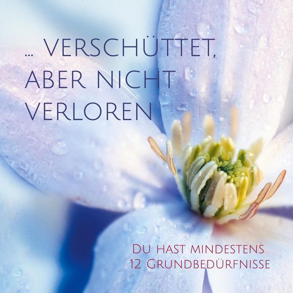 Produktbild: ... versch&uuml;ttet, aber nicht verloren