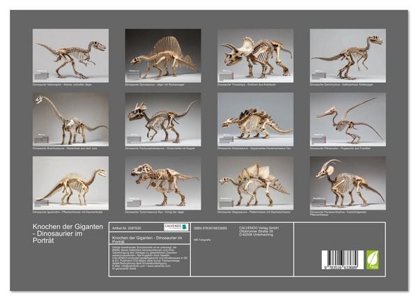 Produktbild: Knochen der Giganten - Dinosaurier im Portr&auml;t (hochwertiger Premium Wandkalender 2026 DIN A2 quer), Kunstdruck in Hochglanz