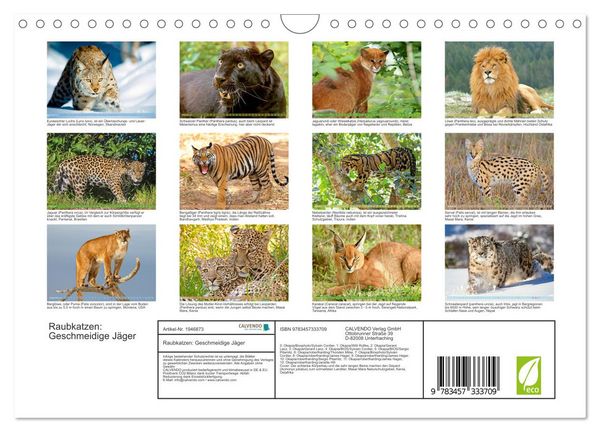 Produktbild: Raubkatzen: Geschmeidige J&auml;ger (Wandkalender 2026 DIN A4 quer), CALVENDO Monatskalender