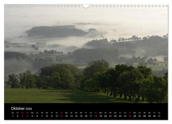 Produktbild: Baum-Variationen (Wandkalender 2026 DIN A3 quer), CALVENDO Monatskalender