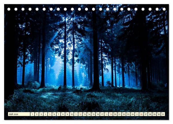 Produktbild: Mystische W&auml;lder - Zauber der Natur (Tischkalender 2026 DIN A5 quer), CALVENDO Monatskalender