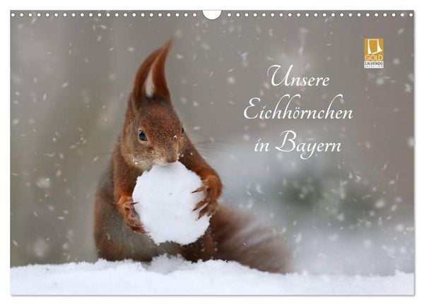 Produktbild: Unsere Eichh&ouml;rnchen in Bayern (Wandkalender 2026 DIN A3 quer), CALVENDO Monatskalender
