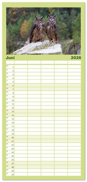 Produktbild: Familienplaner 2026 - Eulen - Fl&uuml;gel der Nacht mit 5 Spalten (Wandkalender, 21 x 45 cm) CALVENDO