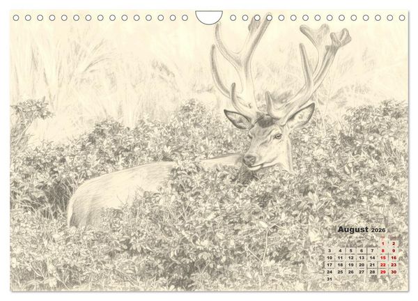 Produktbild: Wilde Seelen - Tierische Momente in Graphit (Wandkalender 2026 DIN A4 quer), CALVENDO Monatskalender