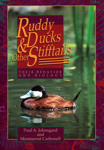 Produktbild: Ruddy Ducks & Other Stifftails