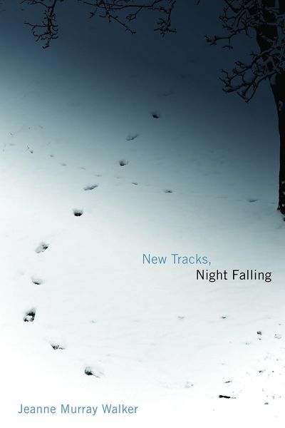 Produktbild: New Tracks, Night Falling