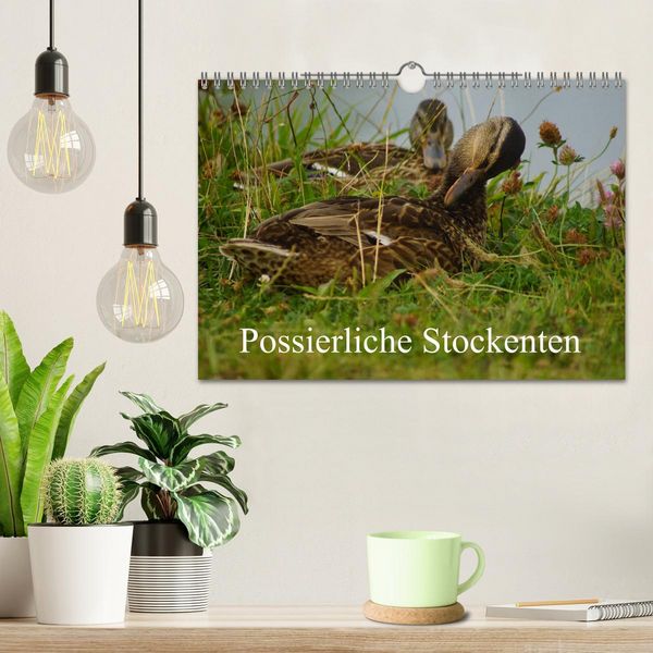 Produktbild: Possierliche Stockenten (Wandkalender 2026 DIN A4 quer), CALVENDO Monatskalender