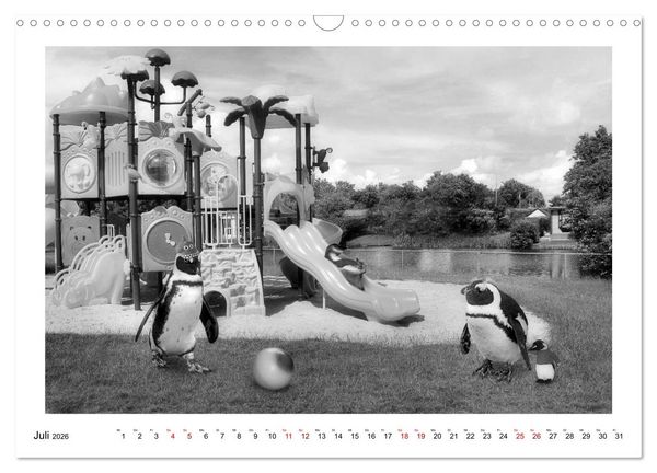 Produktbild: Pinguine privat (Wandkalender 2026 DIN A3 quer), CALVENDO Monatskalender