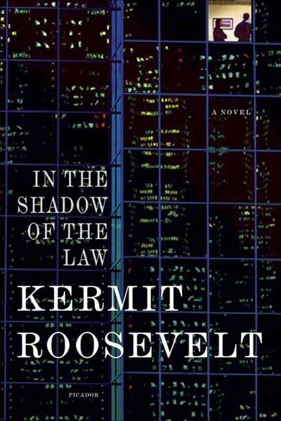 Produktbild: In the Shadow of the Law