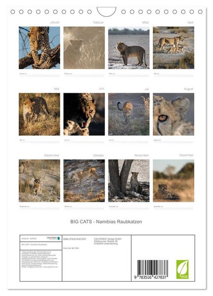 Produktbild: BIG CATS - Namibias Raubkatzen (Wandkalender 2026 DIN A4 hoch), CALVENDO Monatskalender